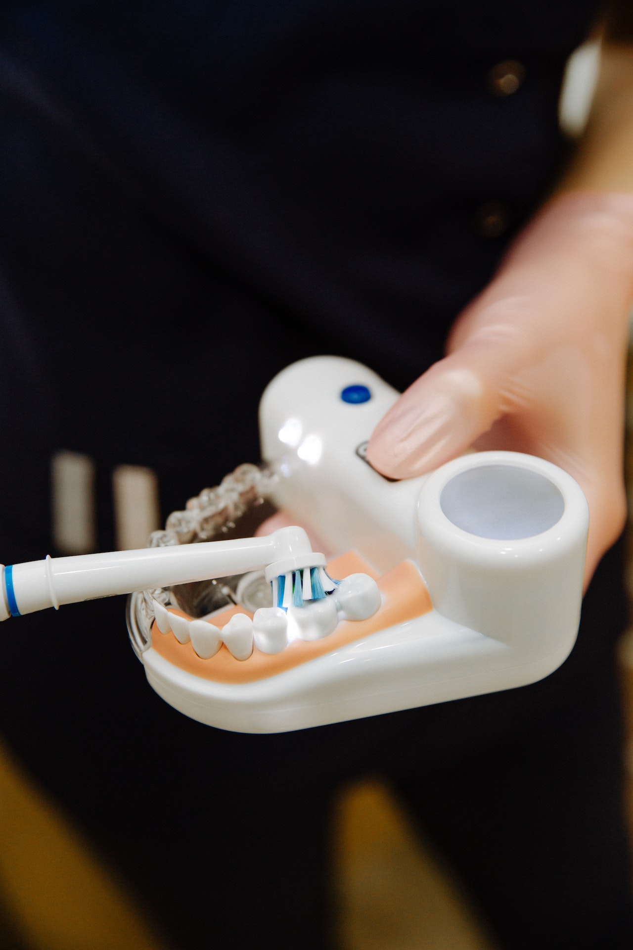 a person in scrubs holding a model of a jaw with a toothbrush